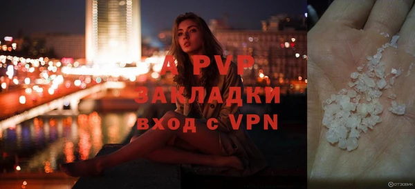 ECSTASY Грязи