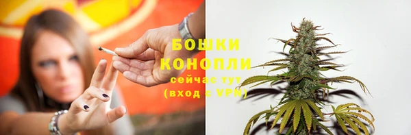 молекула духа Семилуки