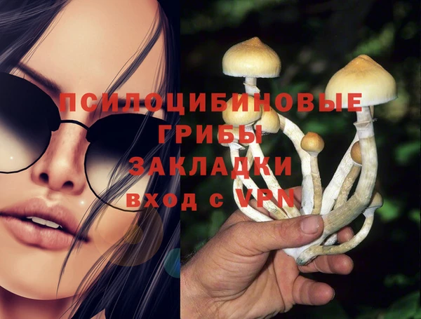 кокаин премиум Белокуриха