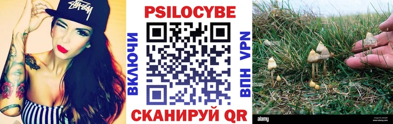 Галлюциногенные грибы GOLDEN TEACHER  где продают наркотики  блэк спрут как войти  Юрюзань 